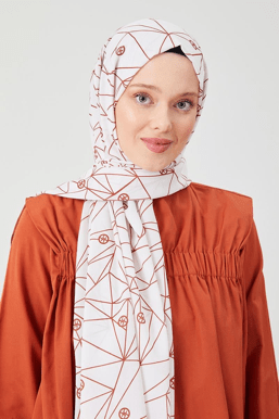 Model Çeşitliliği